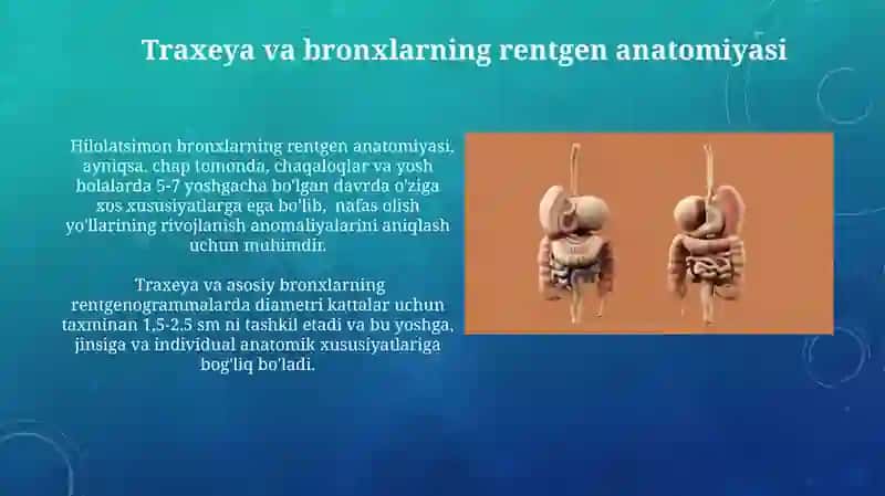 Nafas olish jarayoni 4
