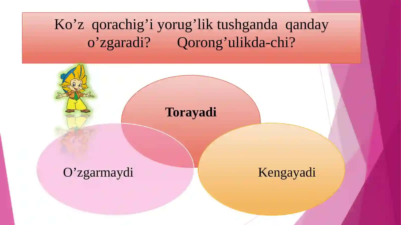 Eshitishorganlarining tuzilishi, eshitish gigiyenasi 4
