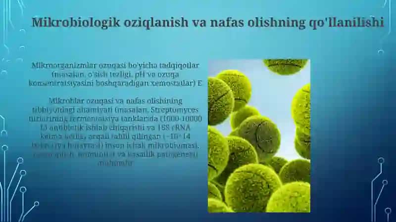 Mikroorganizlarning oziqlanishi va Nafas olishi 4
