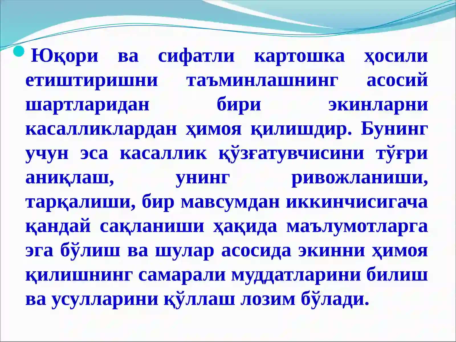 КАРТОШКА КАСАЛЛИКЛАРИ ВА УЛАРГА ҚАРШИ КУРАШ ЧОРАЛАРИ 4