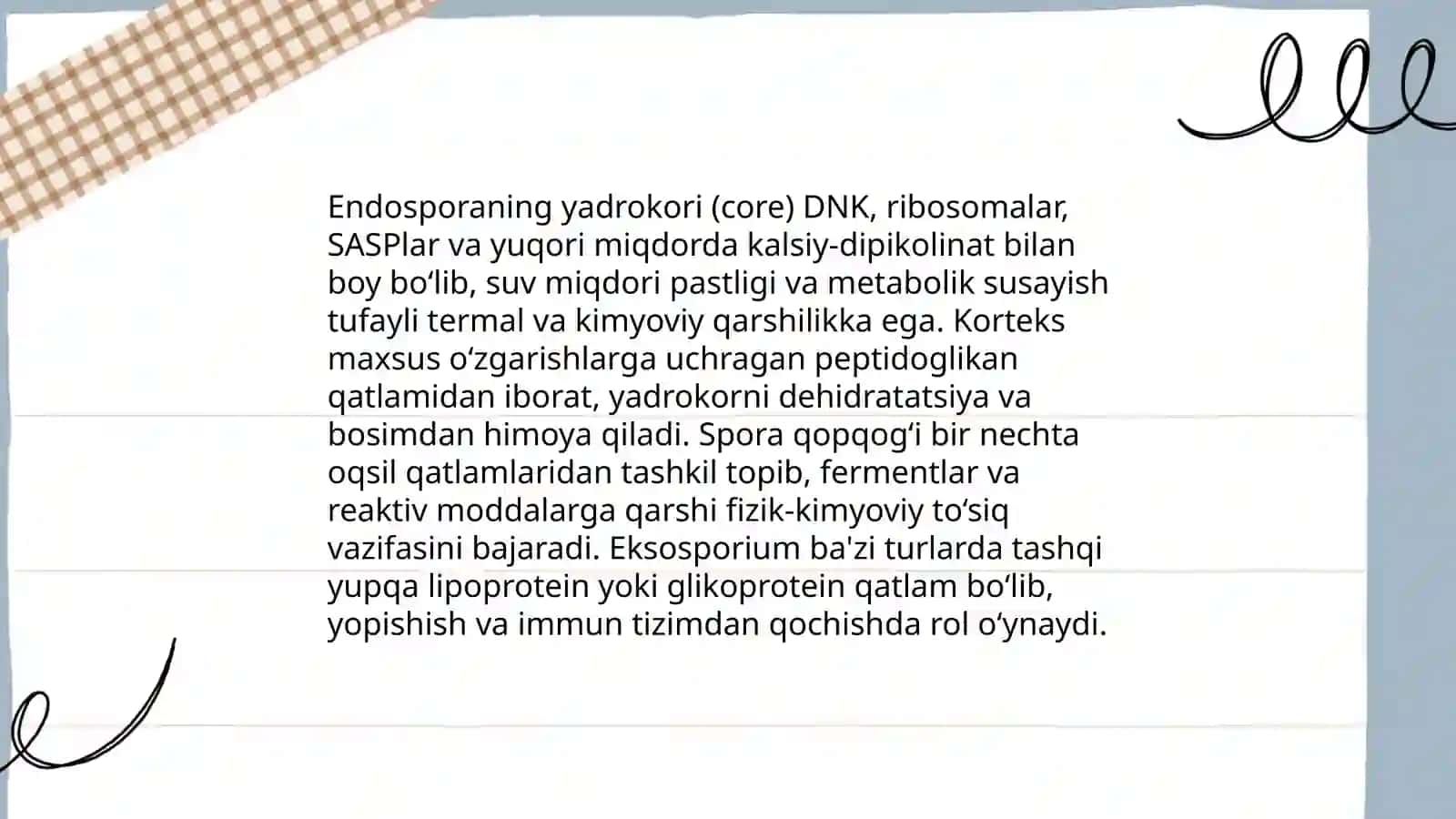 Prokariotlarning endosporalari 4