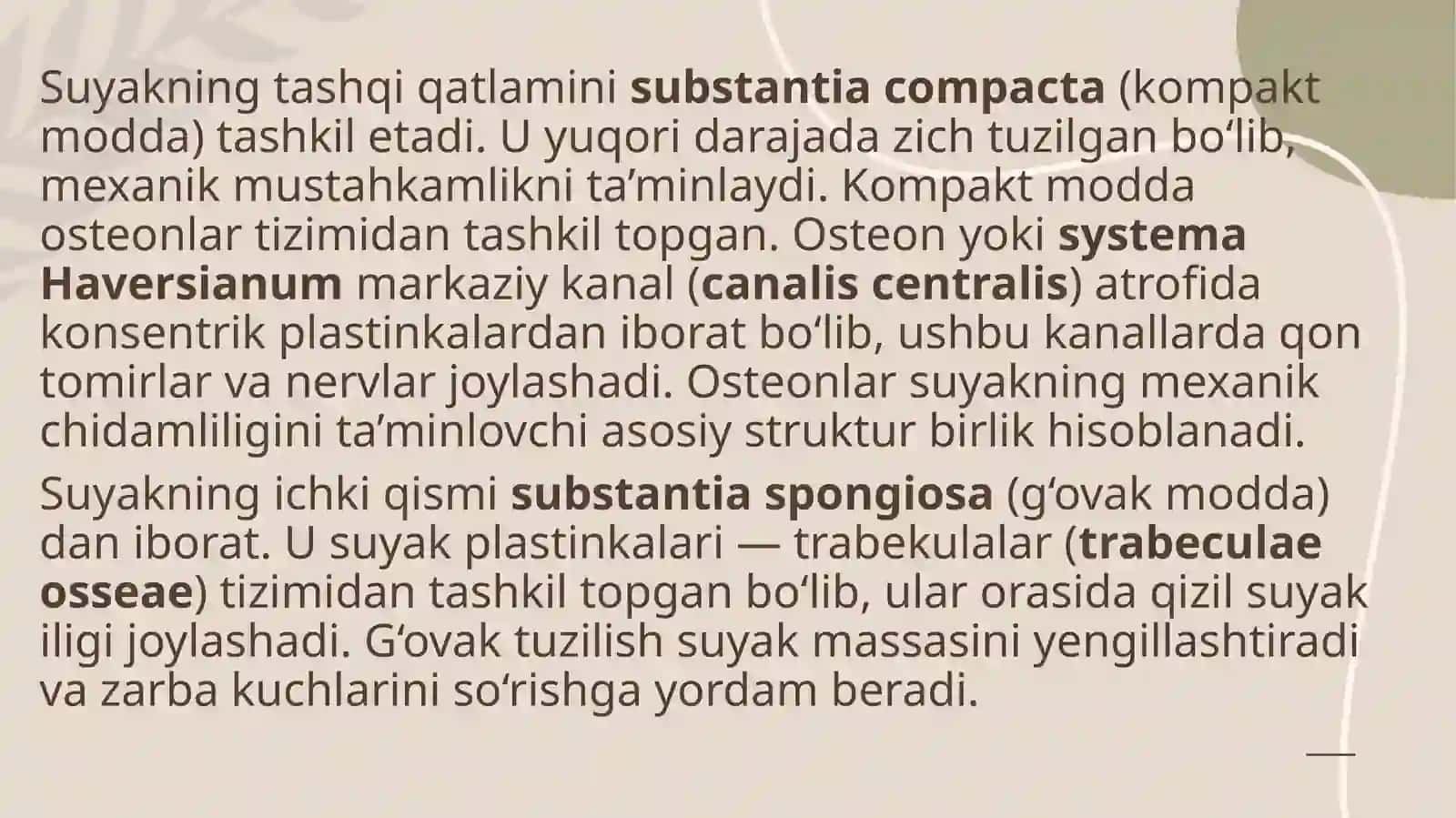 Suyak to‘qimasining tuzilishi va funksiyasi 4