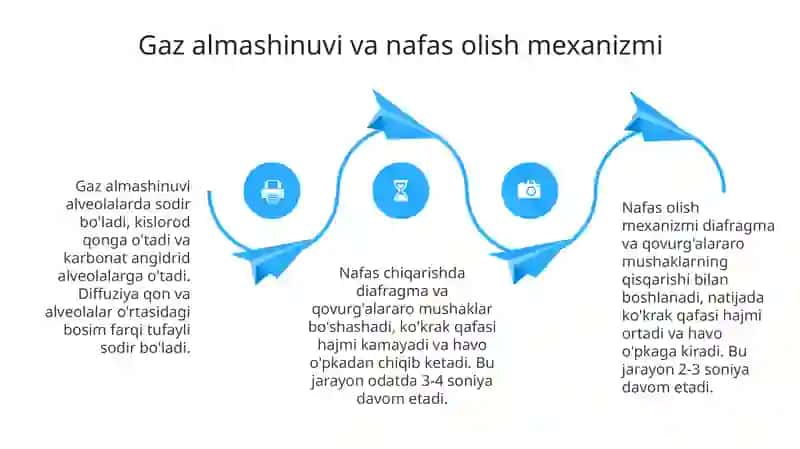 Nafas olish organlari 4