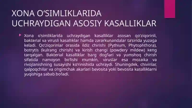 Xona o‘simliklarida uchraydigan kasalliklarga qarshi kurashish 4