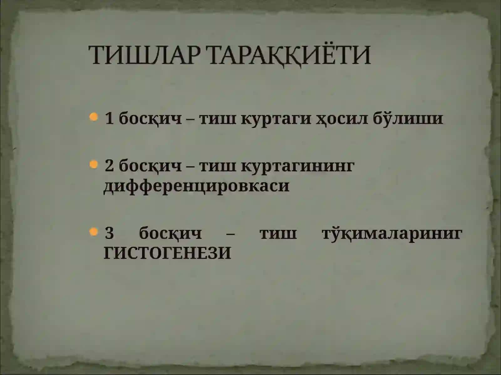 Тишларнинг хусусий анатомияси 4