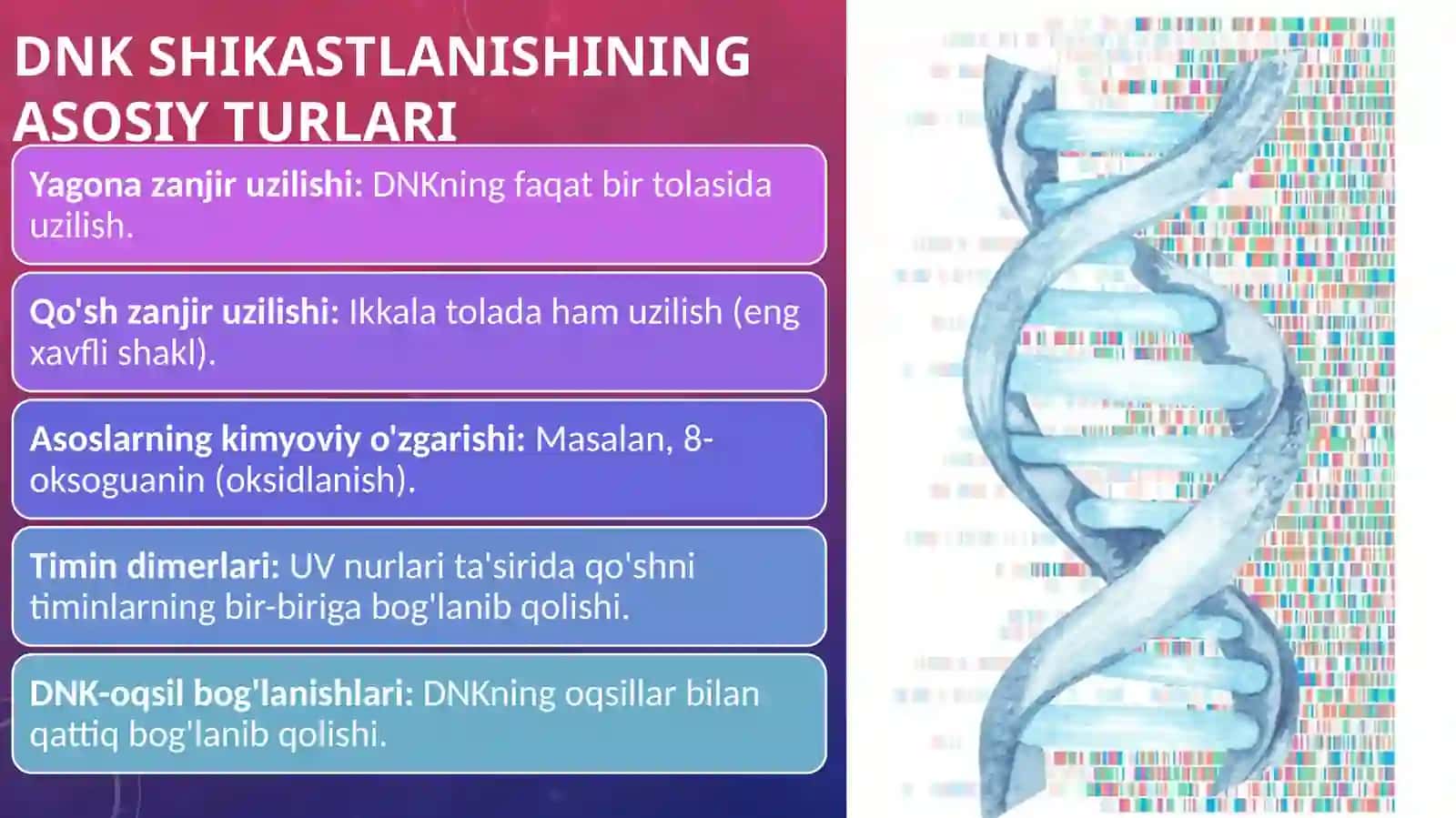 DNK shikastlanishi 4