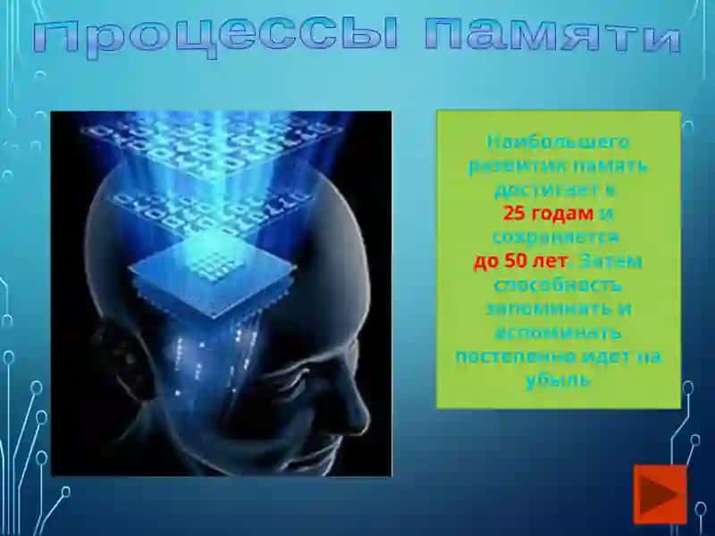 ПАМЯТЬ ВИДЫ 4