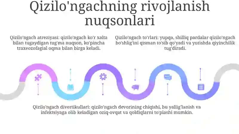 Hazm A'Zolarining Rentgenanatomiyasi Va Rivojlanish Nuqsonlari 4
