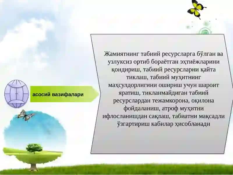 Davlatning tabiiy rеsurslardan foydalanish jarayonlarini tartibga solishi va ekologiya sohasidagi siyosati 4
