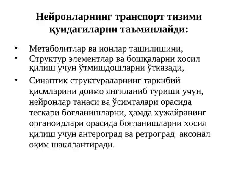 Нерв тизимининг вазивалари 4