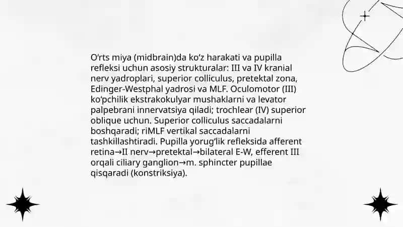 O‘rts miya fiziokogiyasi 4