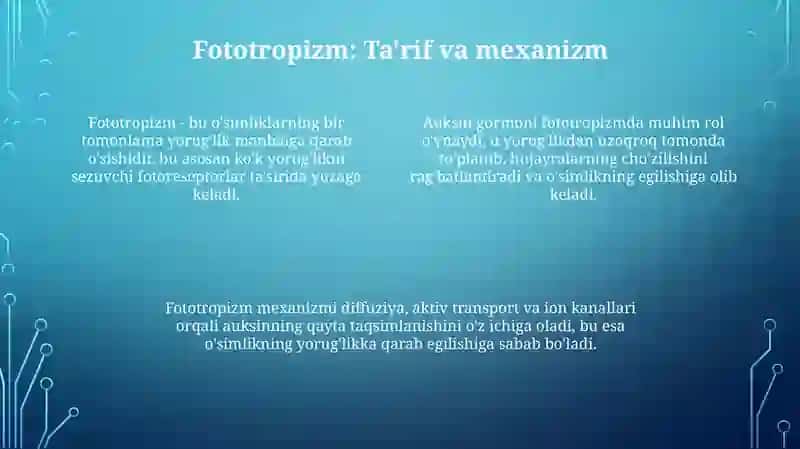 Fototropizm, fotonastiya va geotropizm 4