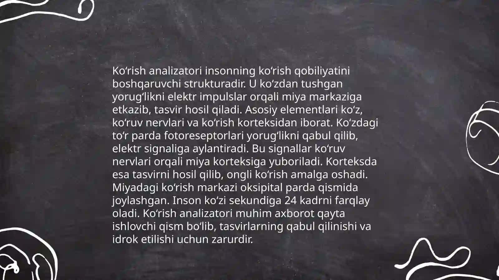 Ko‘rish analizatorlari 4