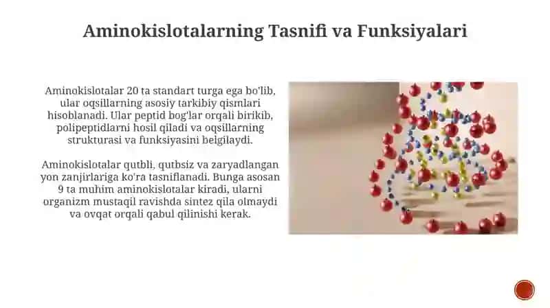Aminokislotalar, Nukleotidlar, va ularning metobolizimi bilan boĝliq molekulalar 4