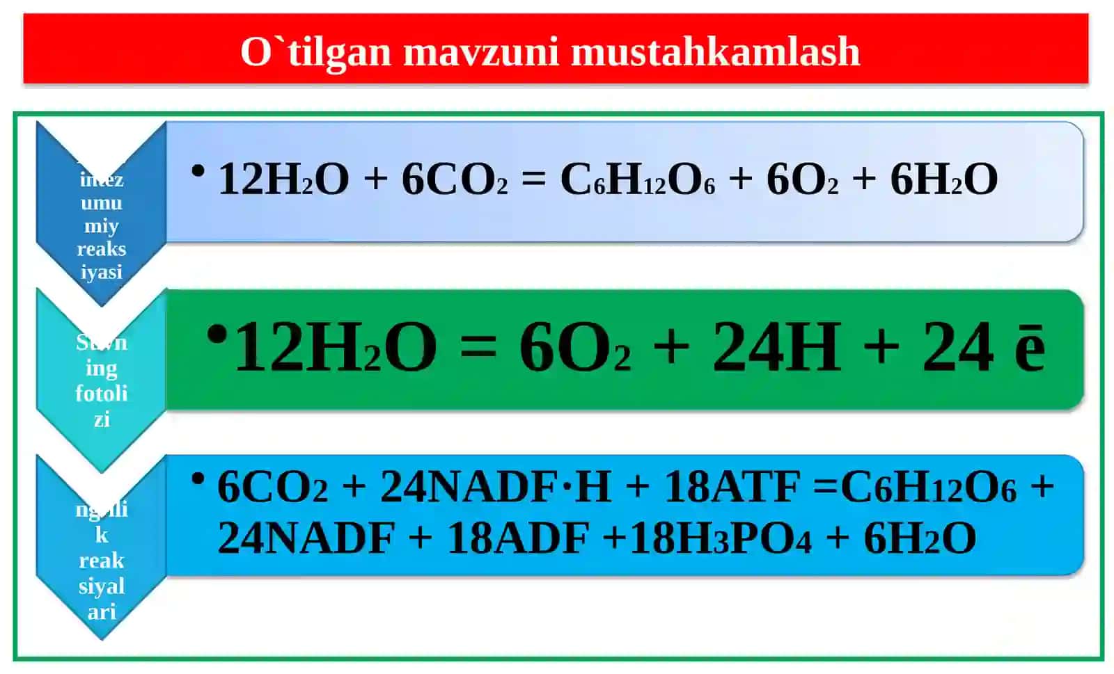 Biologiya 34-dars 9- 10 sinf 4