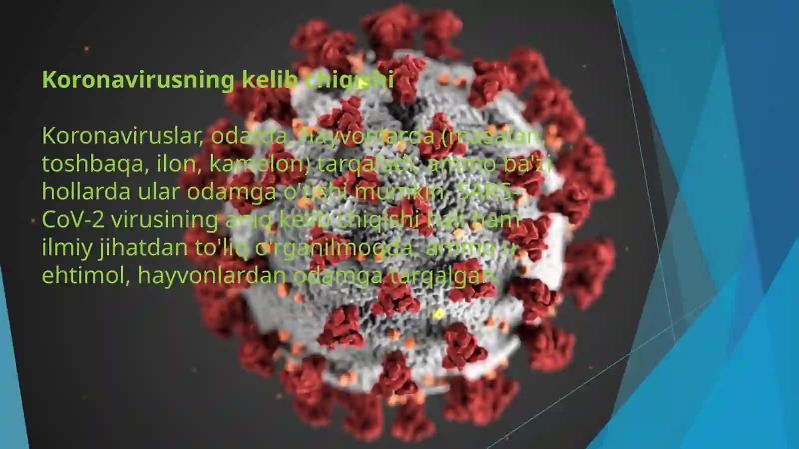 Koronovirushaqidamalumot 4
