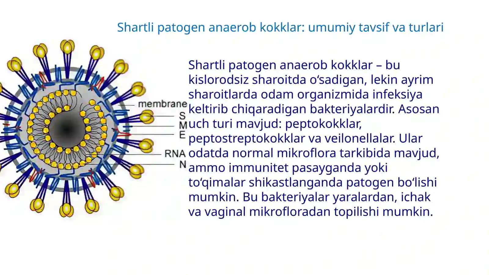 Mikrobiologiya virusologiya immunologiya fanidantayyorlagan mustaqilishi 4