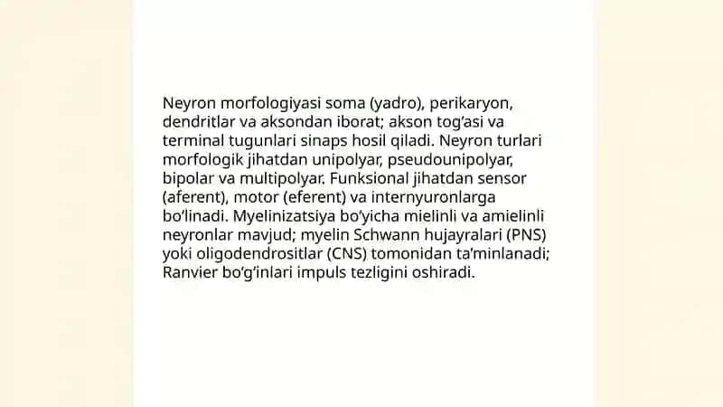 Nerv tizimi tuzilishi va uning psixik jarayonlardagi roli 4