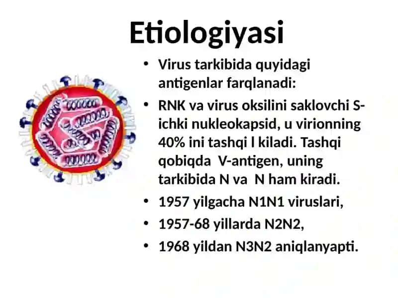 Gripp O'RVI 4