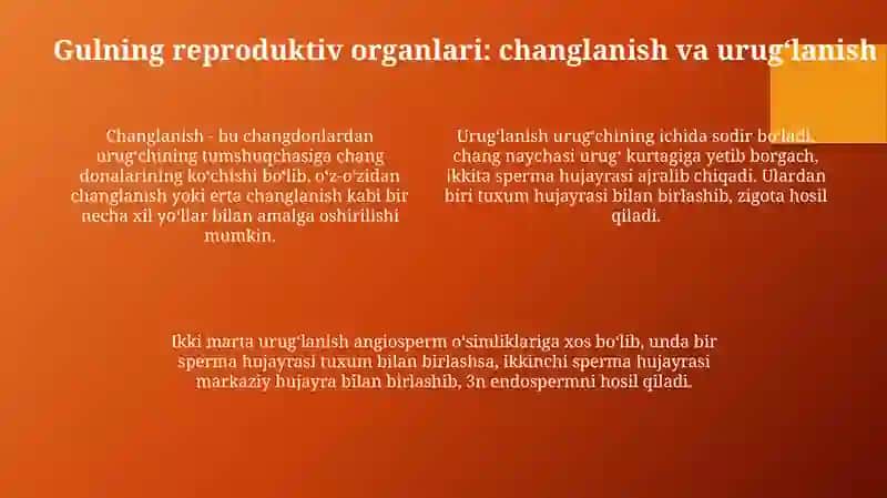 Gul biologiyasi:tuzilishi reproduktiv a'zolar rivojlanishi va to'pgullar 4