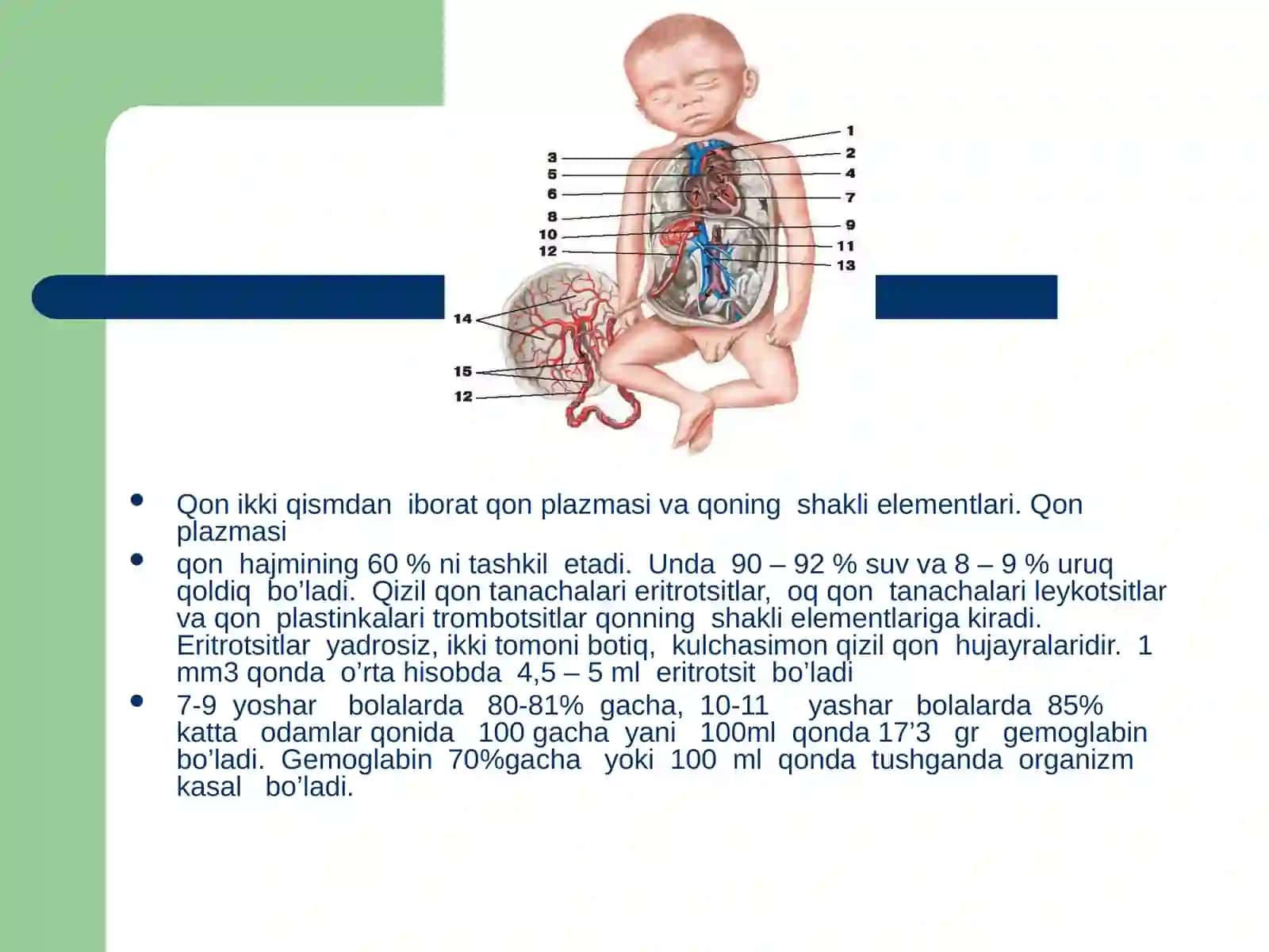 Qon tizimining yoshga oid xususiyatlari va gegiyenasi 4