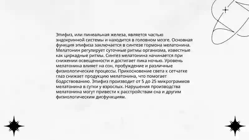 Нейроэндокринная связь гипофиза 4