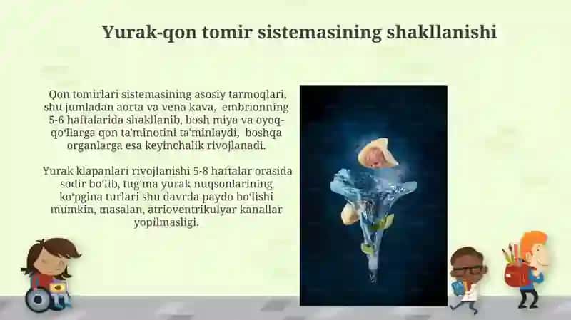 Odam embriogezining qaltis davrlari 4