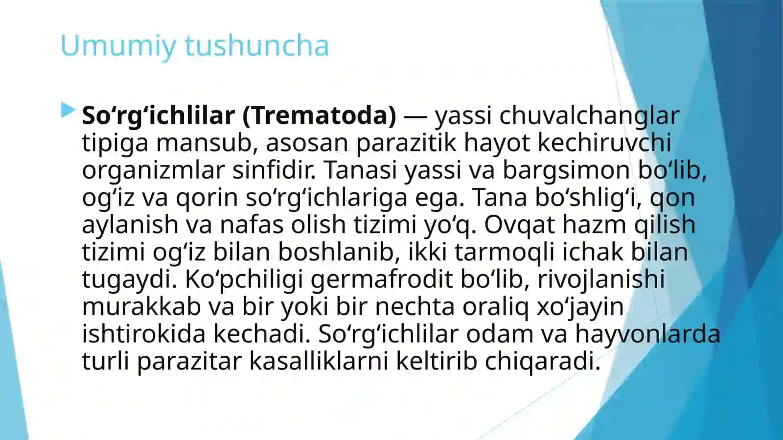 So’rg’ichlilar sinfi 4