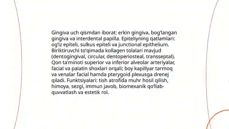 Periodont 4