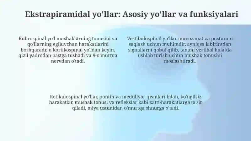 Ekstrapiramidal yo'l 4