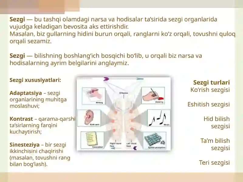 Bilish jarayonlari haqida tushuncha.  Sezgi va Idrok 4