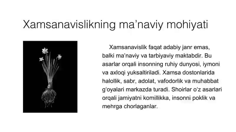 XAMSANAVISLIK taqdimot (slayd) 4