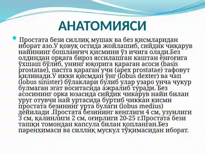 Prostatit. Etiologiyasi, Patogenez, Klassifikatsiya, Klinikasi, Diagnostika va Davolash 4