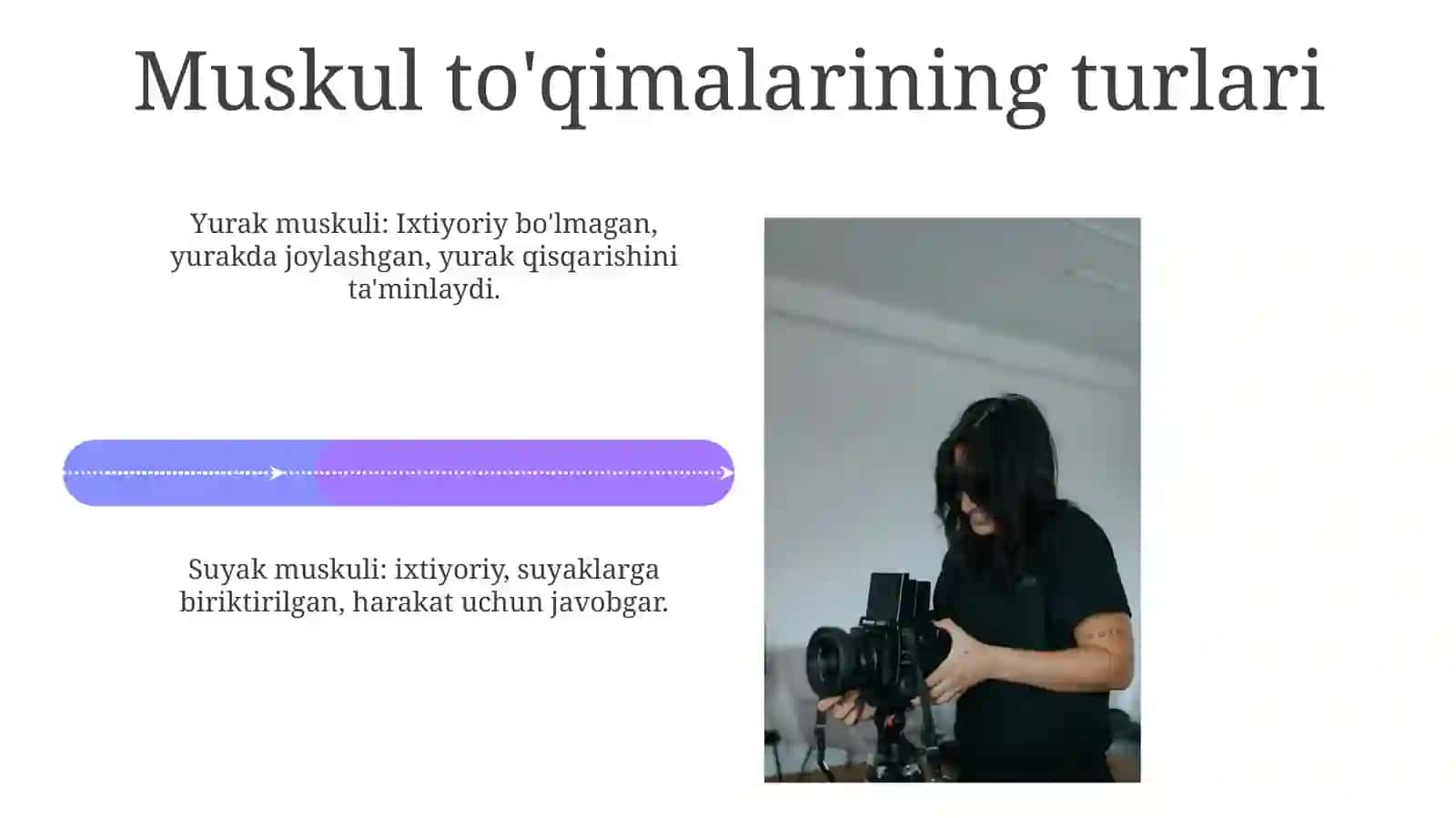 Muskul Anatomiyasi 4