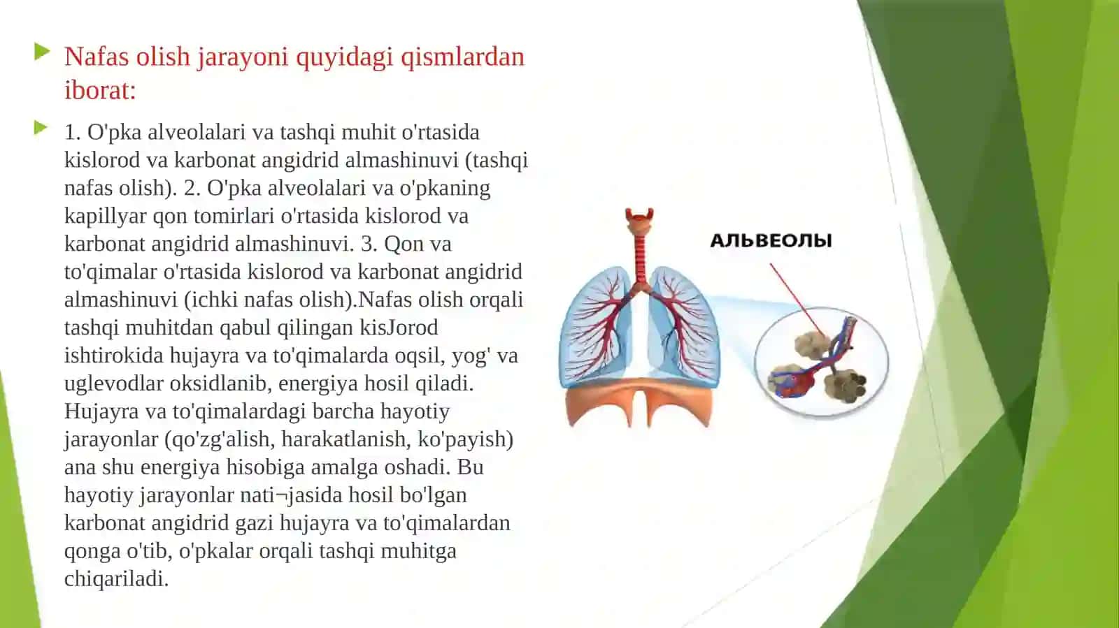 Nafas olish tizimi kasalliklari va bosh miya shikastlanishlarida hamshiralik ishi 4