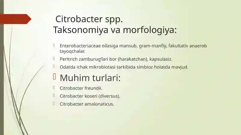 Shartlipatogen bakteriyalar haqida umumiy ma'lumot 4