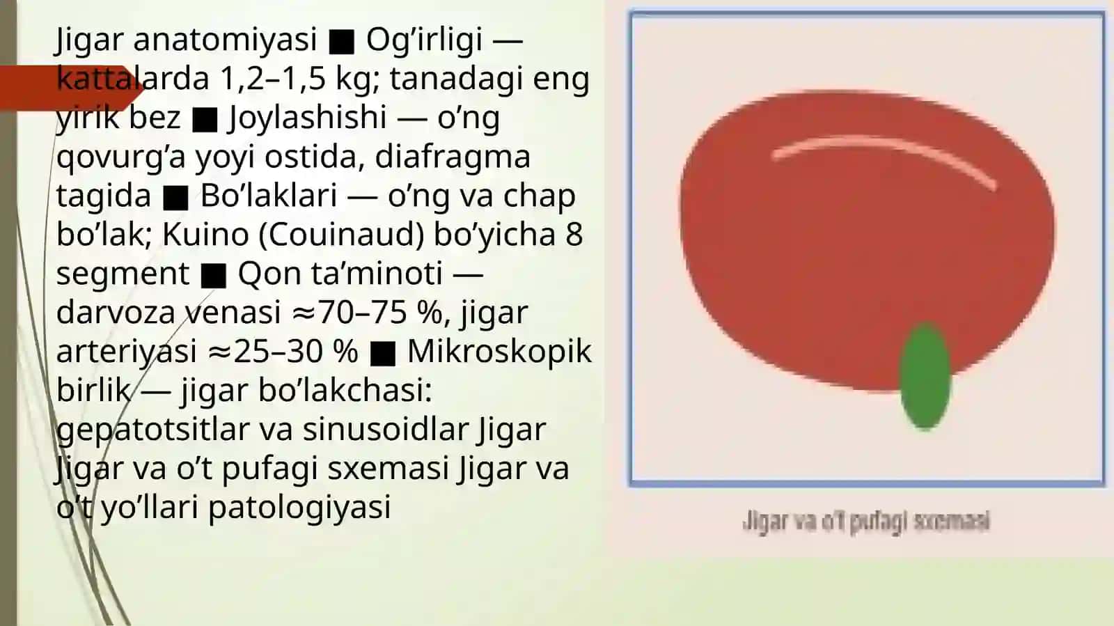 Jigarvao'tyo'llaripatologiyasi 4