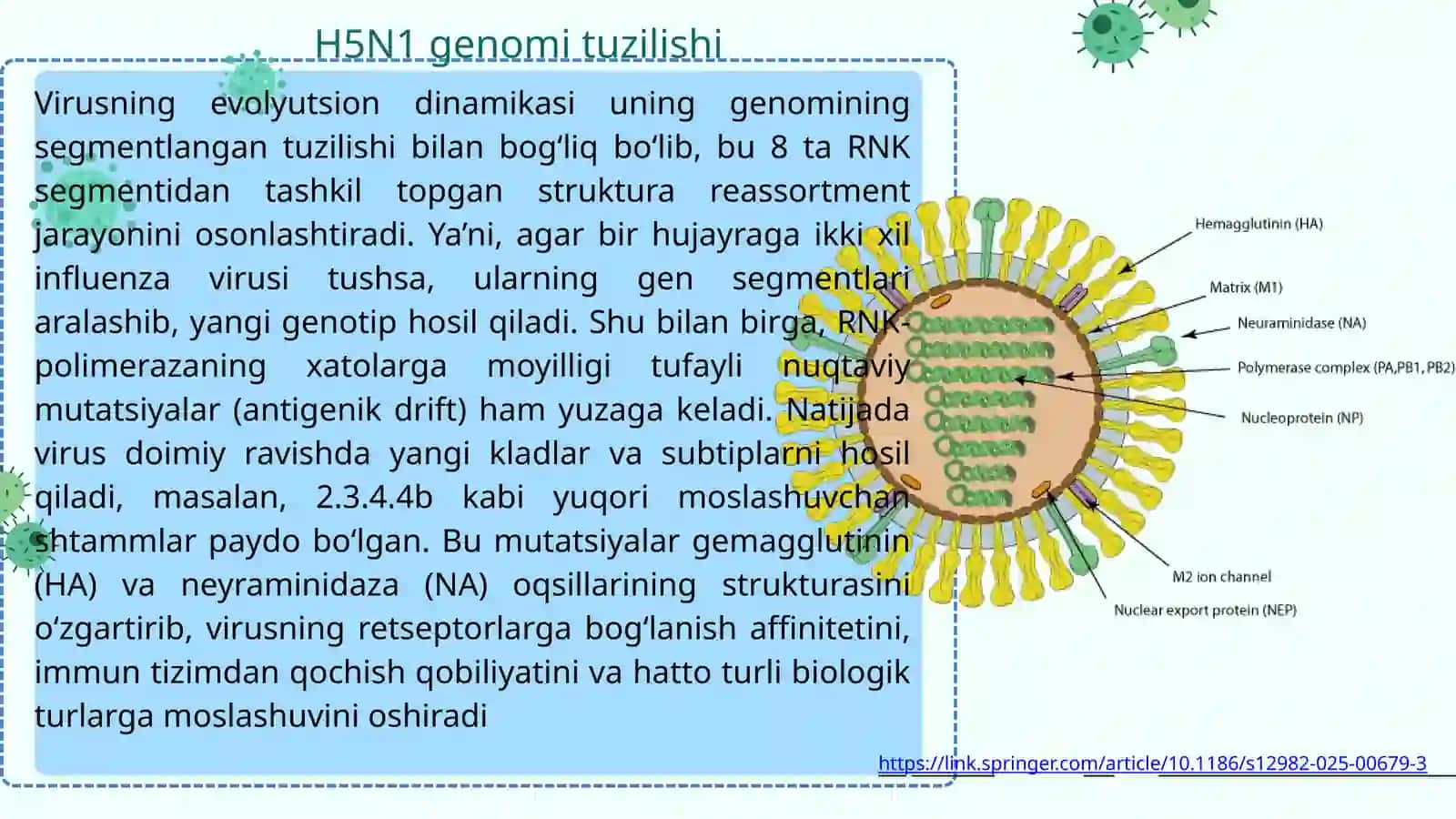 Parranda va cho‘chqa grippi vurusi, respator-sinitsial va rinovirus ularning hozirgi kundagi muammolari keltirib chiqaruvchi kasalliklari va laboratoriya tashhisi, davolash va profilaktiktikasi 4