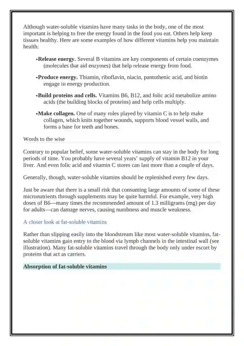 Vitamins and Minerals 4