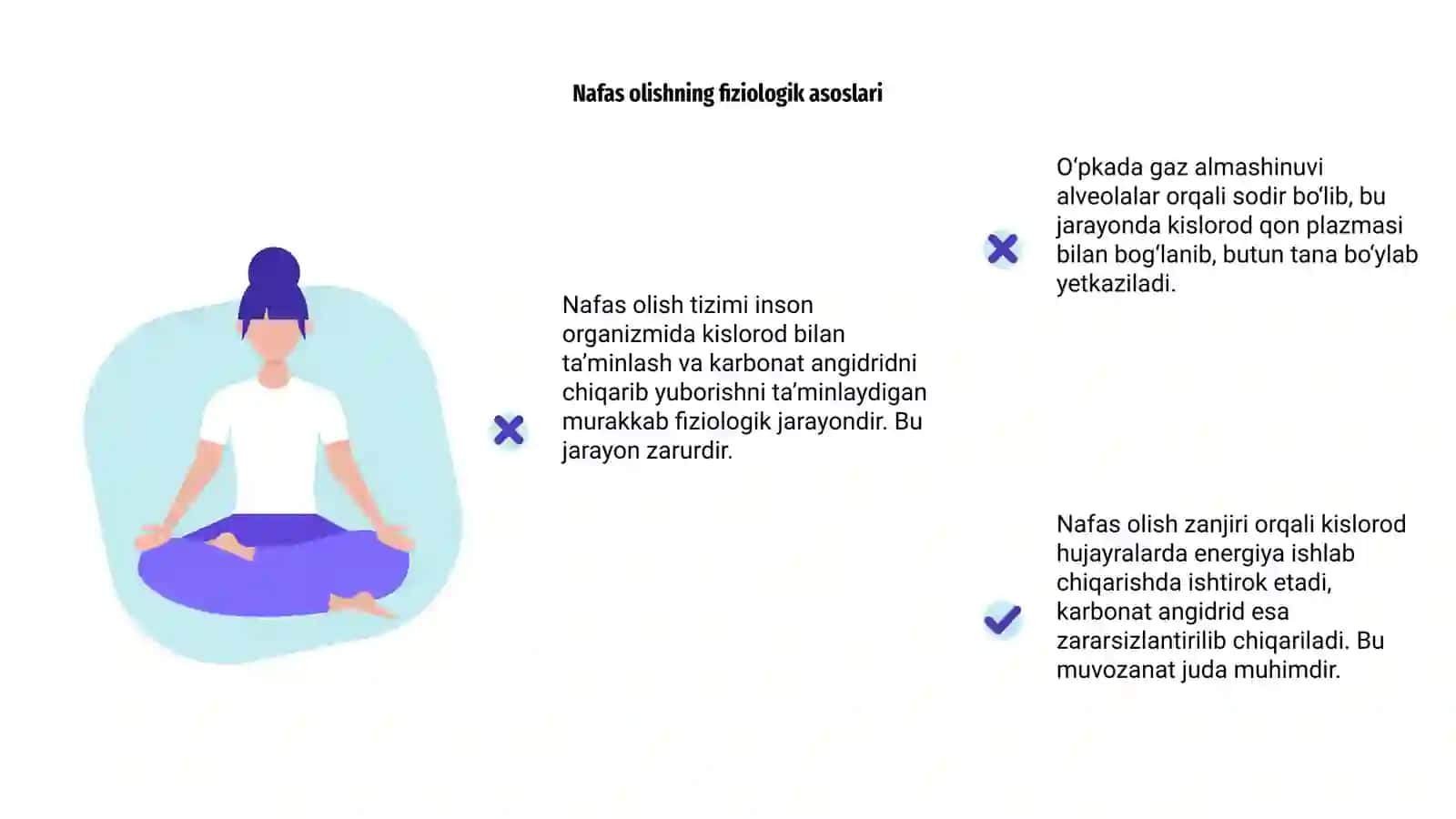 Fiziologiya-Nafas olish tizimining biofizikasi 4