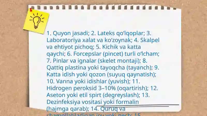 Sutemizuvchilar sinfi vakili quyonning skeletini tayyorlash 4