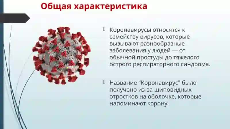 Новые медицинские термины,  появившиеся в эпоху COVID – 19 4