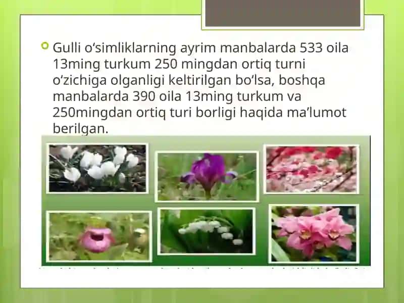 Gulli o’simliklar kelib chiqishi 4