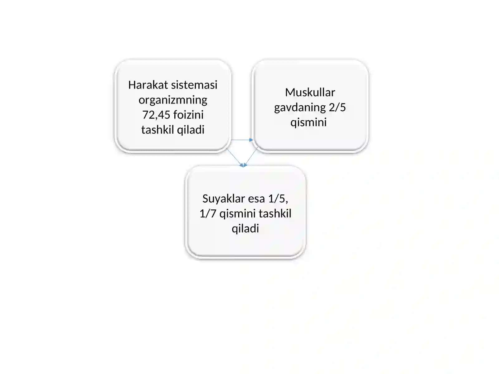 Muskullar Haqida Umumiy Ma'lumotlar 4