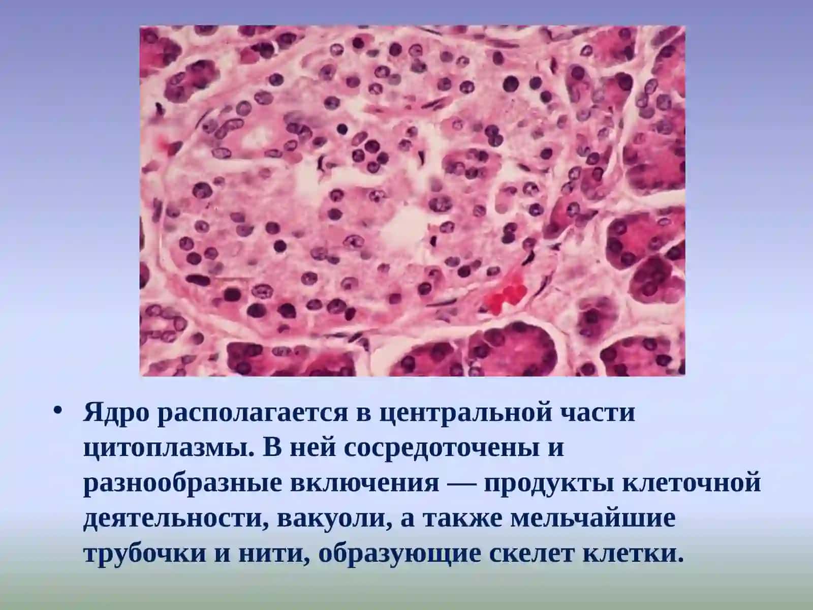 Ядро 4