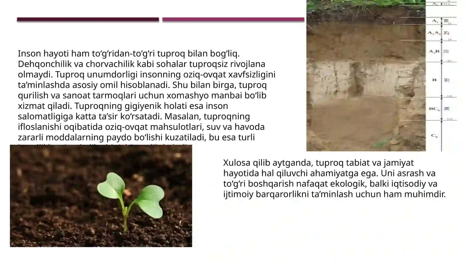 Tuproqning sanitar vaepldemiologikahamiyati 4