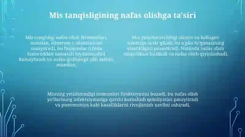 Mis Kopteriyaviylik Tizimi 4