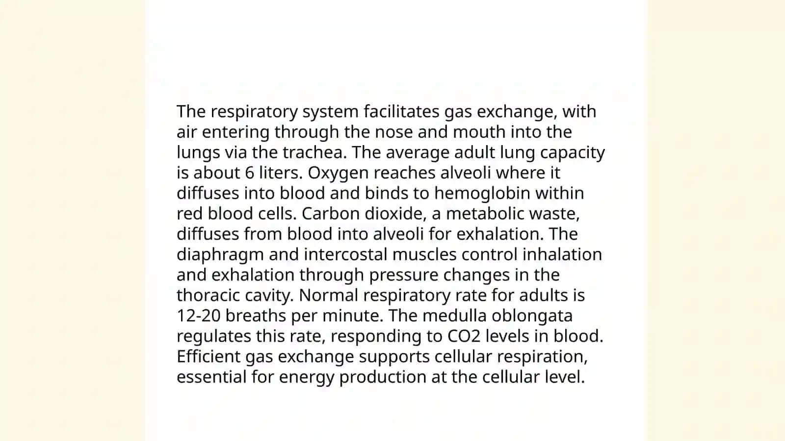 Anatomy of the Lungs 4