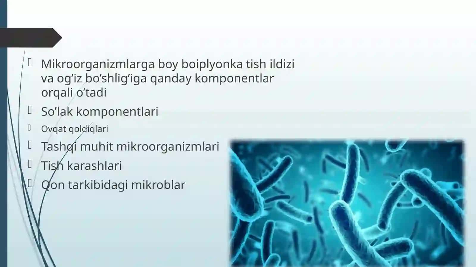 Infitsir langan ildiz kanal tizimi 4