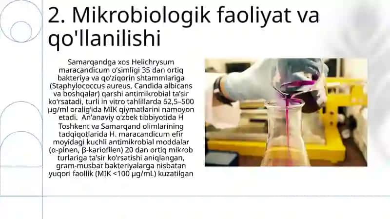 Samarqand o'lmas o'ti (Helichrysum maracandicum) ning sistematikasi va tibbiyotda qoʻllanishi 4